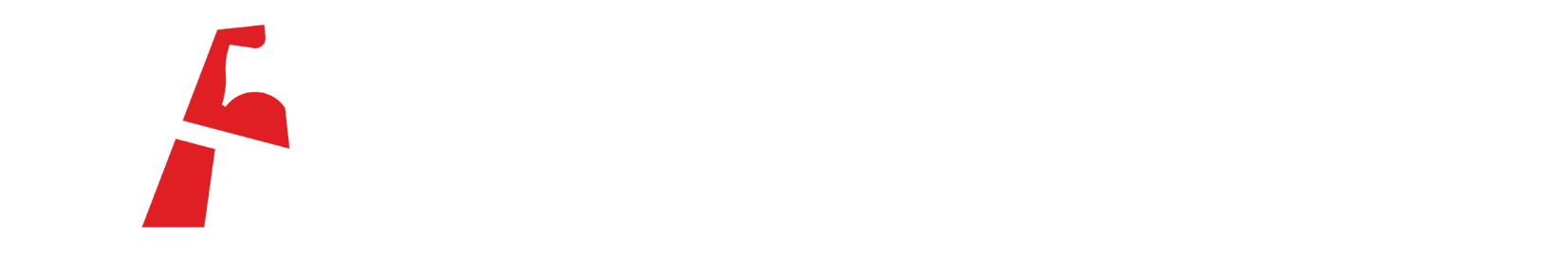 Flexzilla
